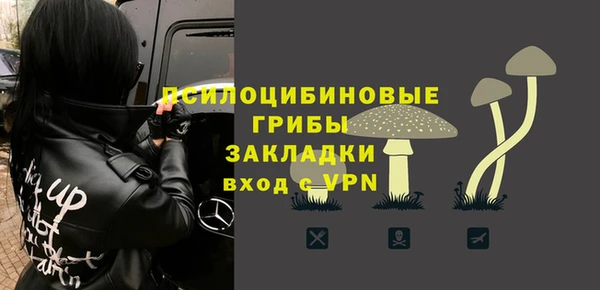 таблы Богородицк
