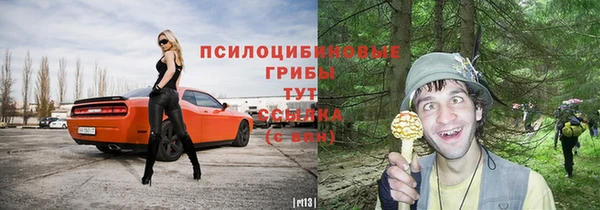 эйфоретик Кодинск