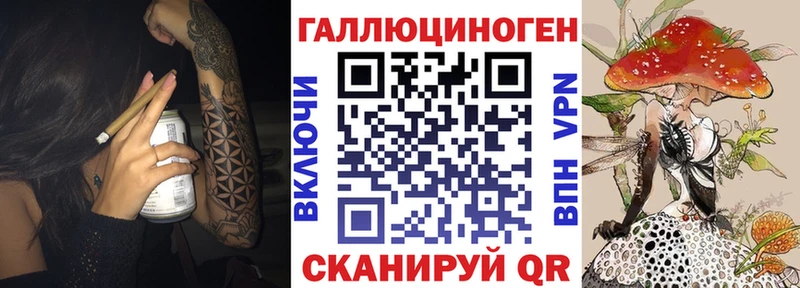 Галлюциногенные грибы Psilocybine cubensis  продажа наркотиков  Сковородино 